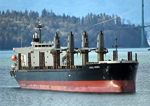 m/v Cool Hero